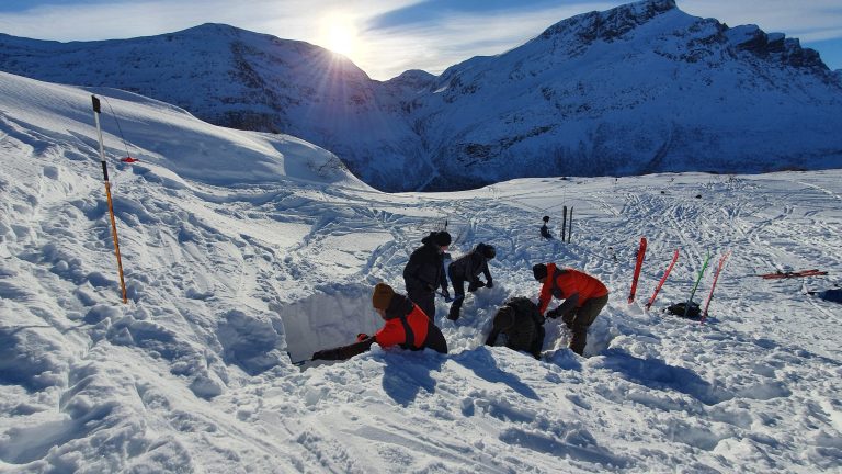 Hvilket skredkurs bør du velge?